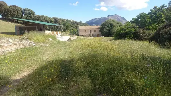 Finca Rustica con Casa Piscina y Naves en Jaen