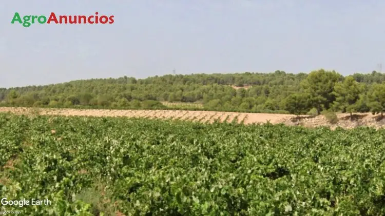 Venta  de Finca de viñedo en Valencia