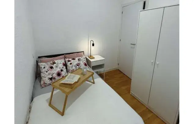 Alquiler Apartamento 1 Dormitorio 26m² Madrid Estudiantes