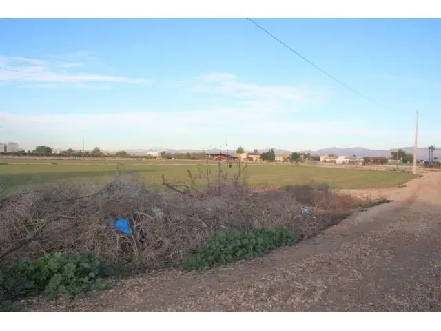 Finca Rustica En Venta En Los Dolores, Alicante
