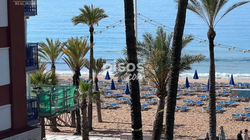 Piso en alquiler en Levante