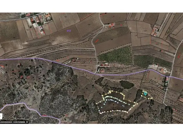 Parcela en Venta cerca Pinoso Alicante 22500m2
