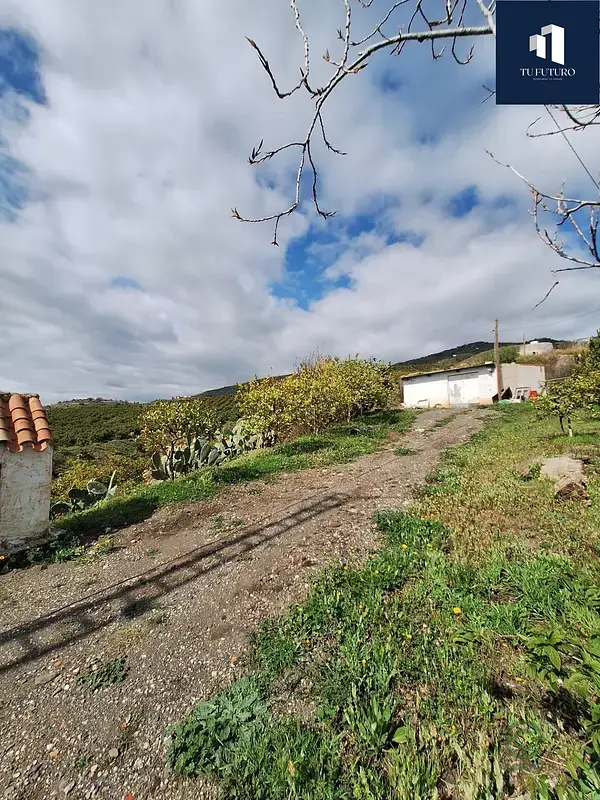 Terreno Rústico Vélez-Málaga 10364m² Aguacate Mango