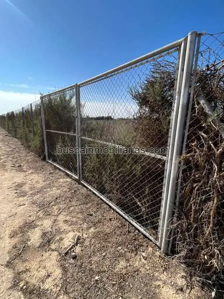 Parcela Rustica en Venta Elche Chalet 10000m2