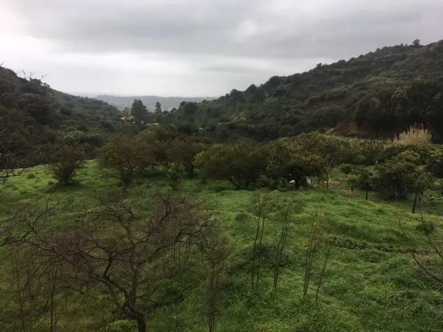 Terreno en venta Estepona, España