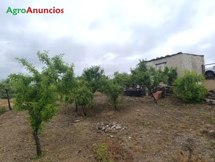 Venta Huerta Toledo Arboles Frutales Alberca