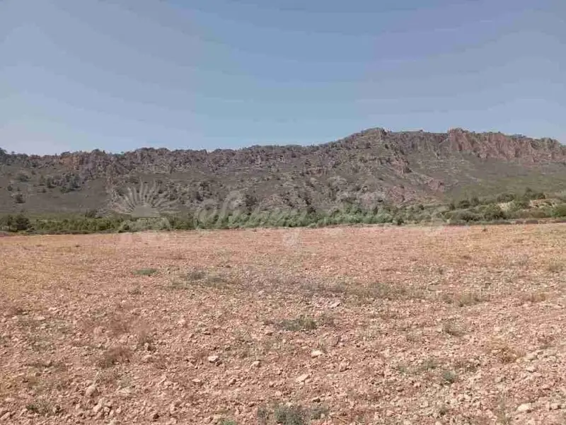 Venta Suelo Edificable Yecla 25000m2 Vistas Montaña