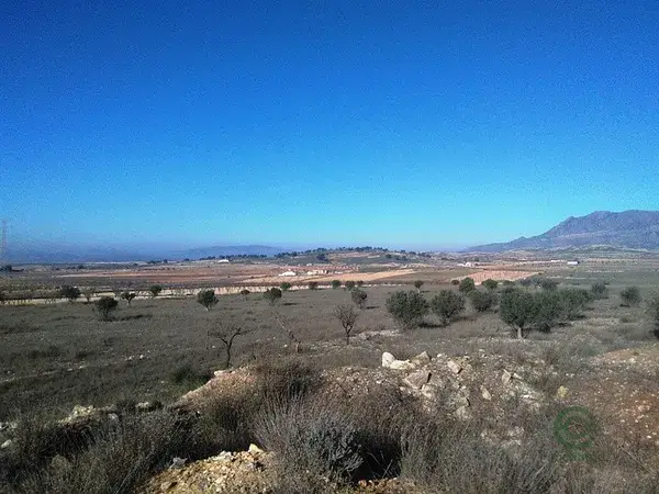 Parcela Rustica 16 Hectareas Jumilla Murcia