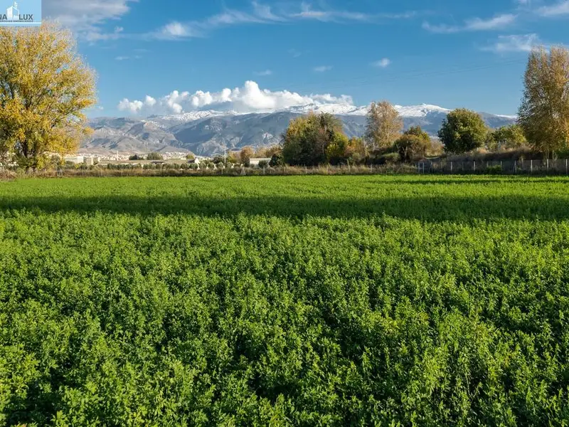 venta Terreno en Granada, Granada Provincia (12866)- Globaliza