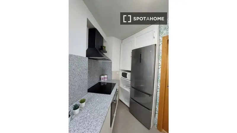 Alquiler Piso 2 Habitaciones Vigo Santo Cura Ars