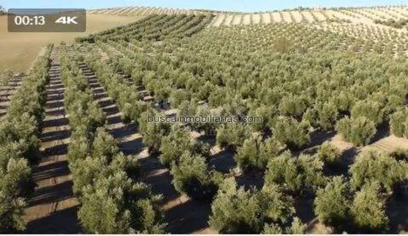 Parcela en venta en Zafra
