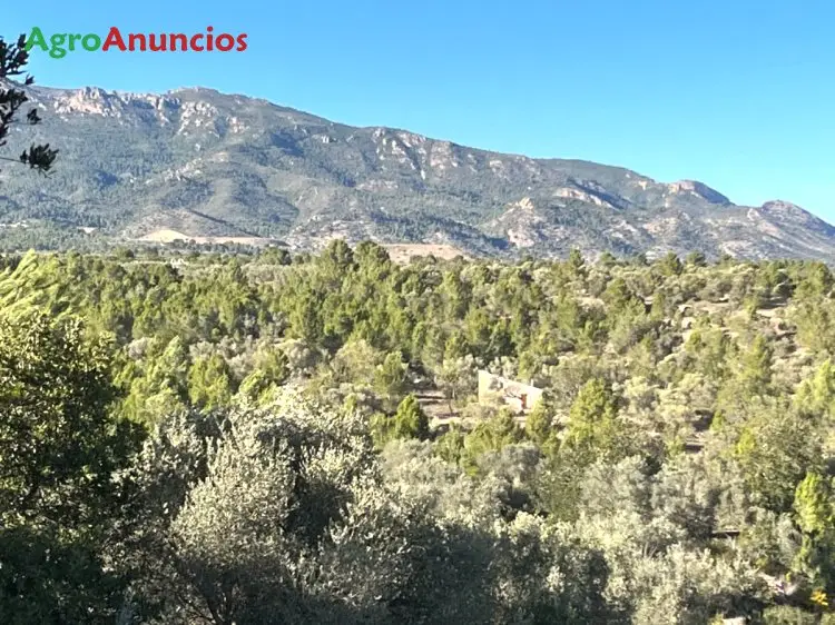 Venta  de Finca de recreo en Tarragona