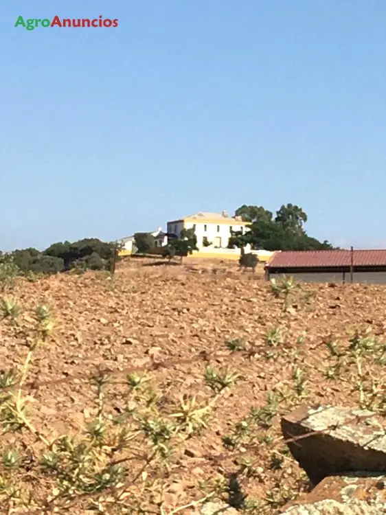 Venta  de Finca ganadera en Badajoz