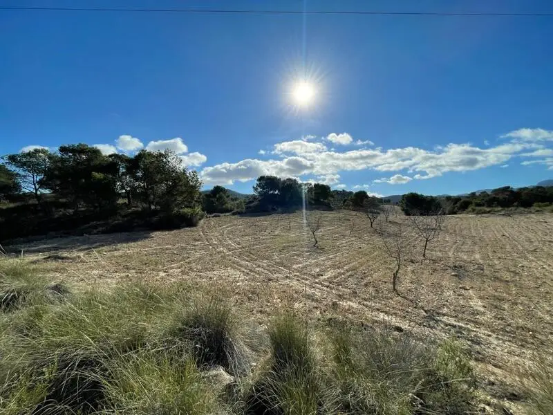 Terreno Edificable en La Zarza Murcia 43593m2