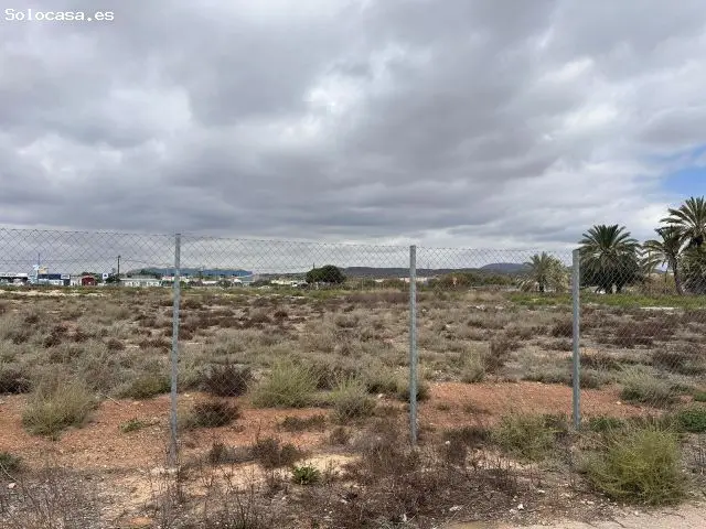 Terreno Rustico Alquiler El Altet 15000m2