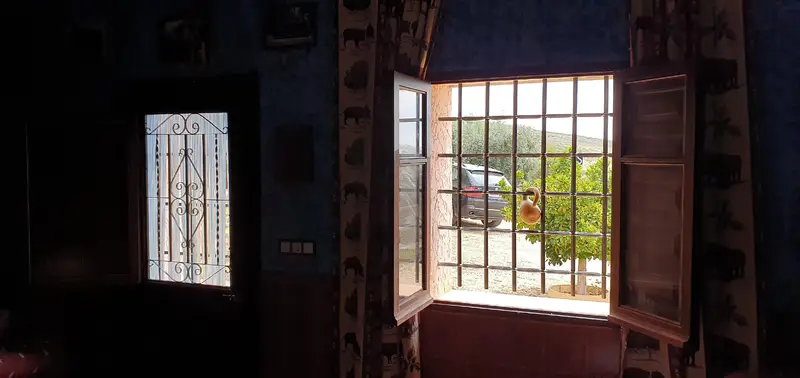 Casa Rústica con Cortijo Reformado 11 Hectáreas