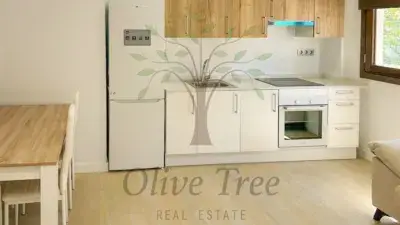 Apartamento en Alquiler San Antonio Ibiza Temporada Verano