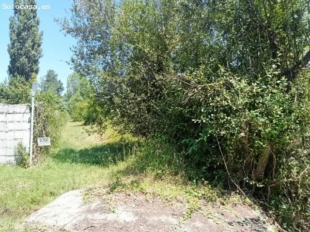 Finca Rústica 2500m2 con Agua y Luz - Cerca Ponferrada