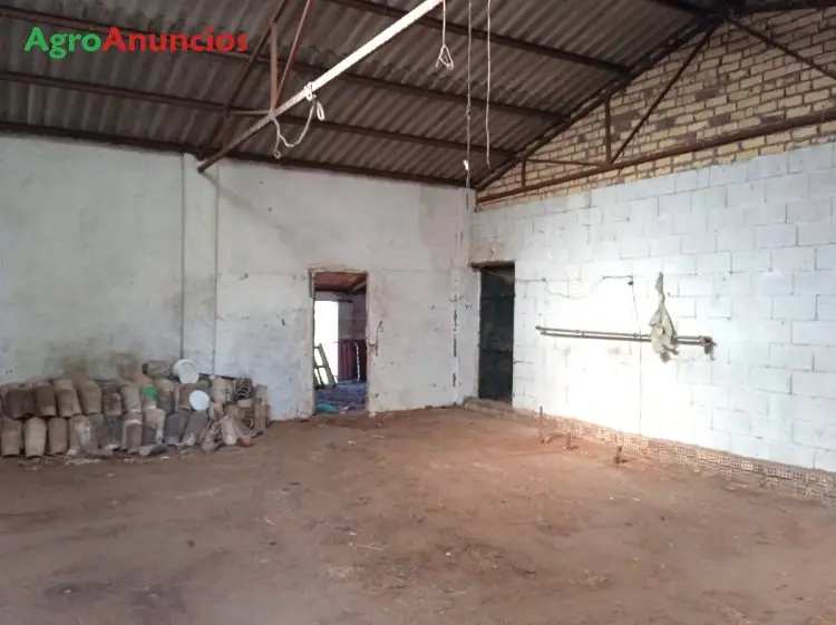 Venta  de Finca de recreo en Sevilla