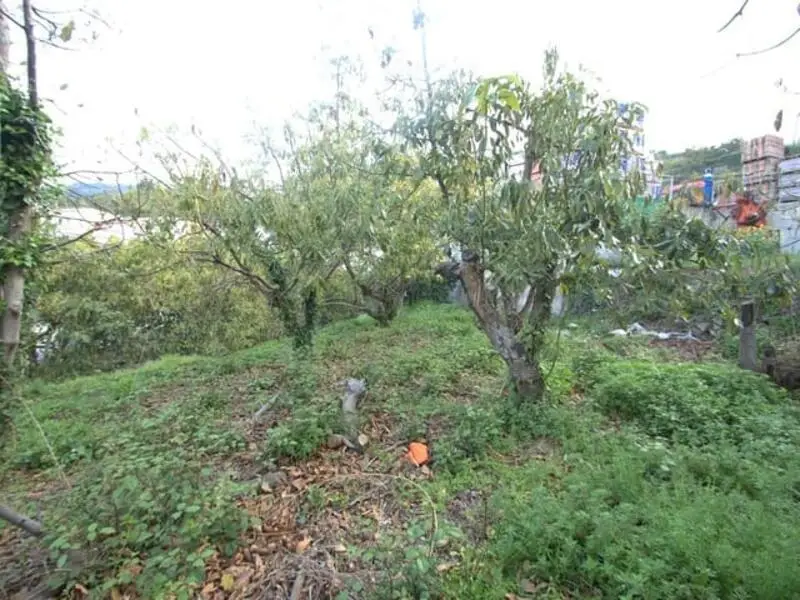 Terreno en Venta Canillas de Albaida 340m2 Vistas Panorámicas