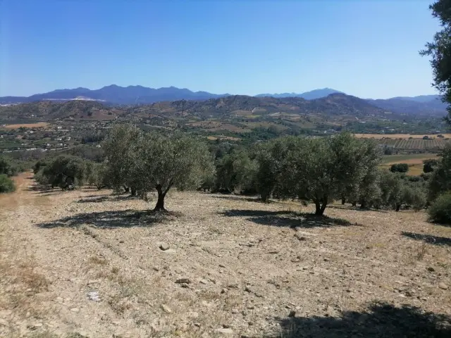 Terreno en venta Coin, España