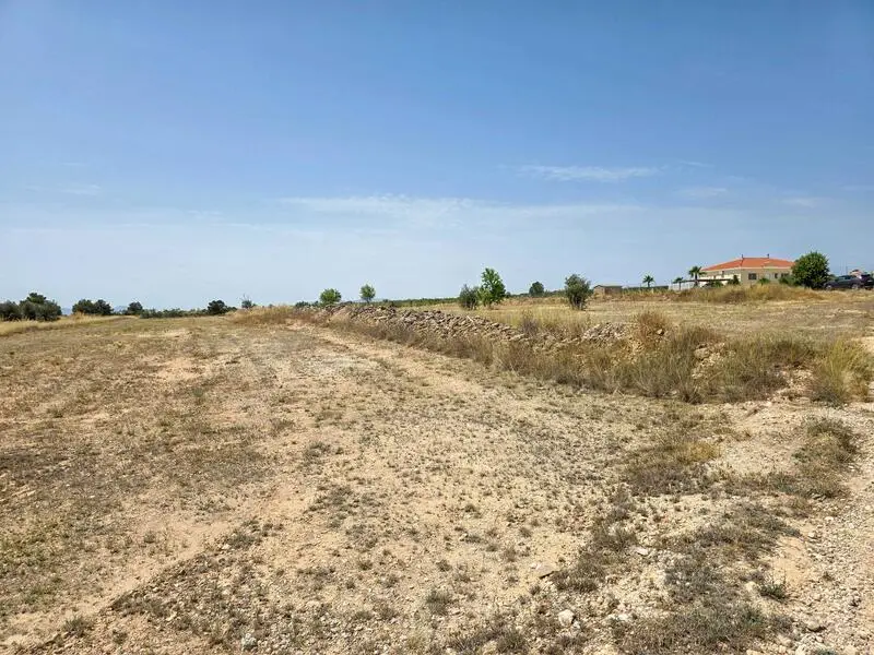 Parcela en Venta Pinoso Alicante 16294m2 Ideal para Construir