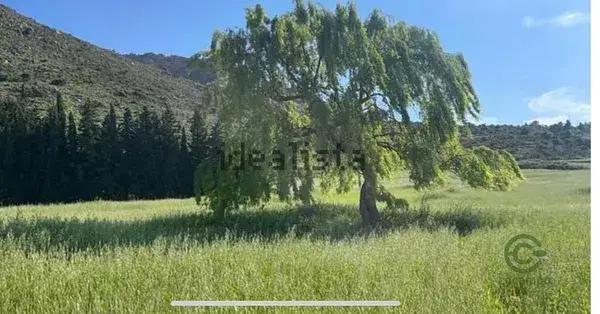 Cortijo 13ha cerca Antequera Malaga