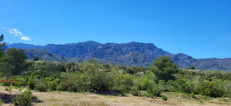 Venta Finca Rustica Roquetes Mas de Barberans