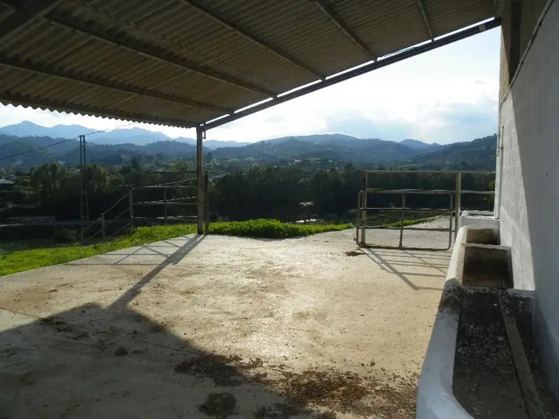 Venta Casa Reformada Coín Centro Ecuestre