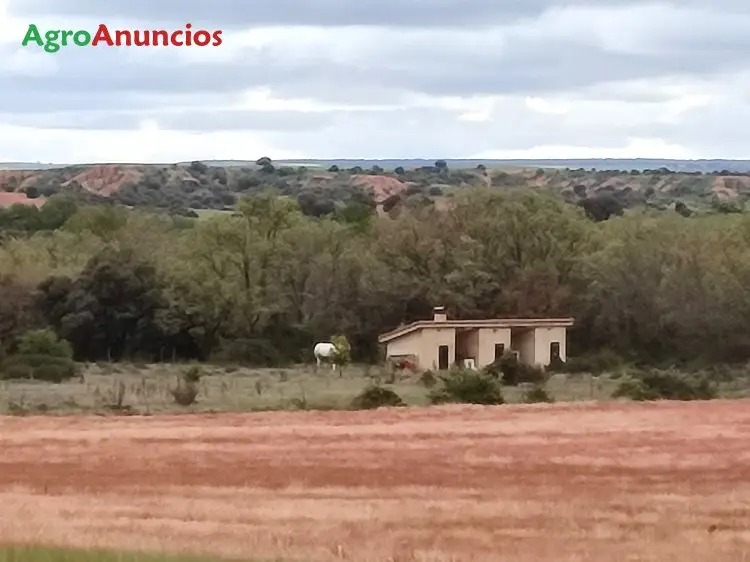 Venta  de Finca de recreo en Segovia