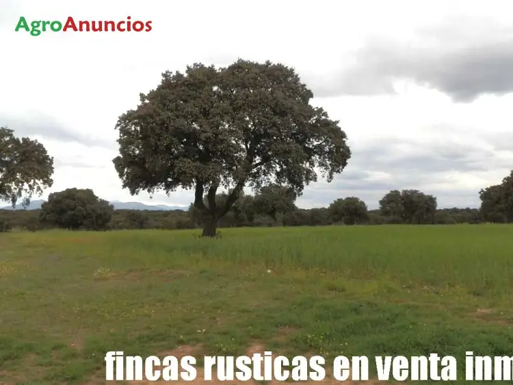 Venta  de Finca rústica de labor secano y pastos en Toledo