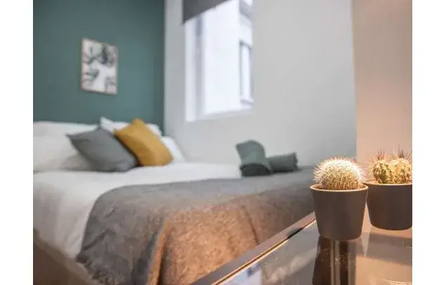 Habitacion en alquiler Madrid La Latina 8 habitaciones