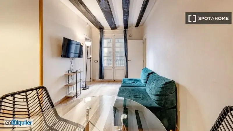 Apartamento de 2 dormitorios en alquiler en La Barceloneta, Barcelona
