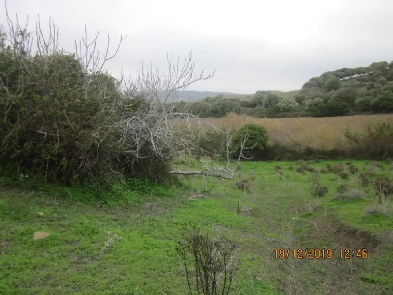 Venta Terreno Rustico Vejer de la Frontera 4150m2