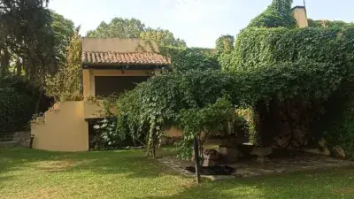 Apartamento en Alquiler para Estudiantes Cerca de Calle Perales