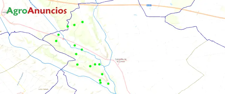 Venta  de Finca rústica de labranza y monte bajo en Palencia