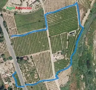 Venta  de Finca de regadío en Valencia