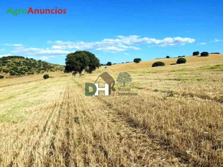 Venta  de Finca ganadera y de labor en Toledo