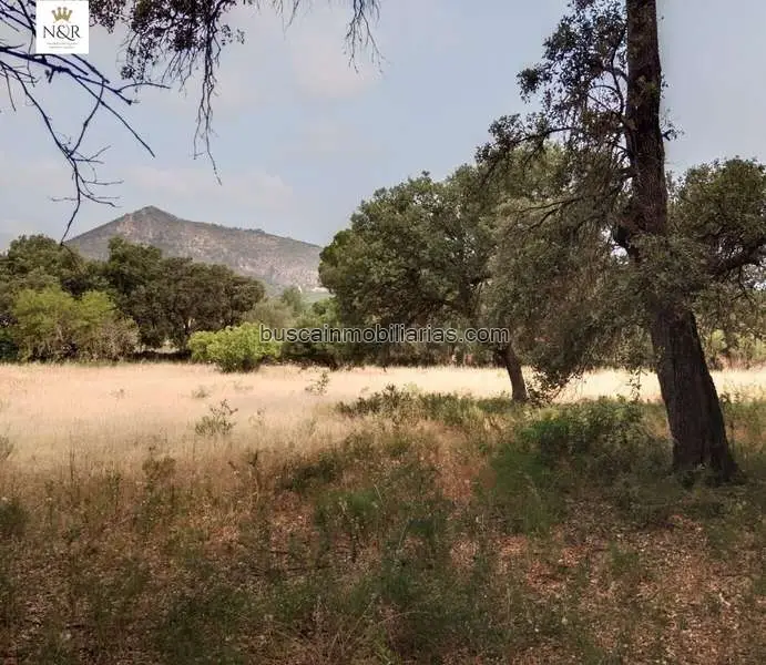 Parcela Rustica en Venta en Inca - Finca de 3600m2