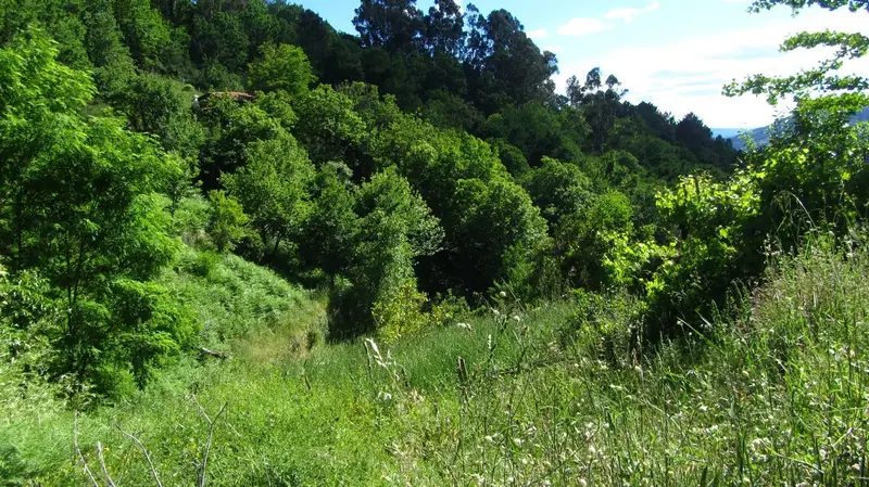 Casa Rural con Anexos y Fincas en Venta en Pantón Lugo