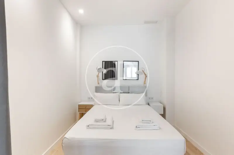 Loft en Alquiler El Mercat Valencia 43m2