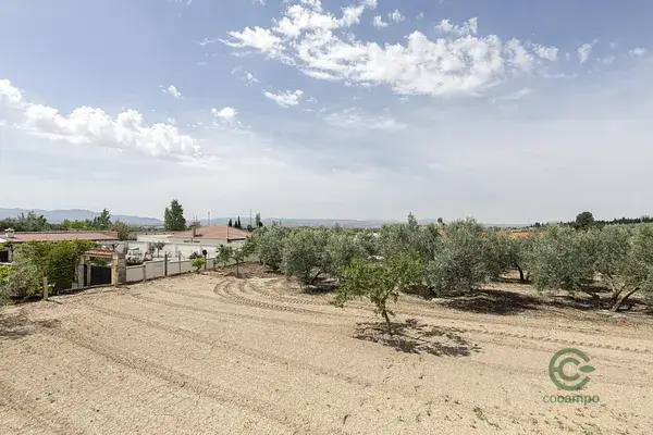 Casa de Ocio en Albolote con Piscina y Olivos