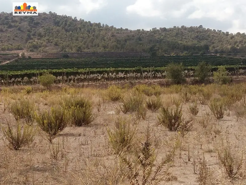 Venta Finca con vistas en Aspe 7940m2