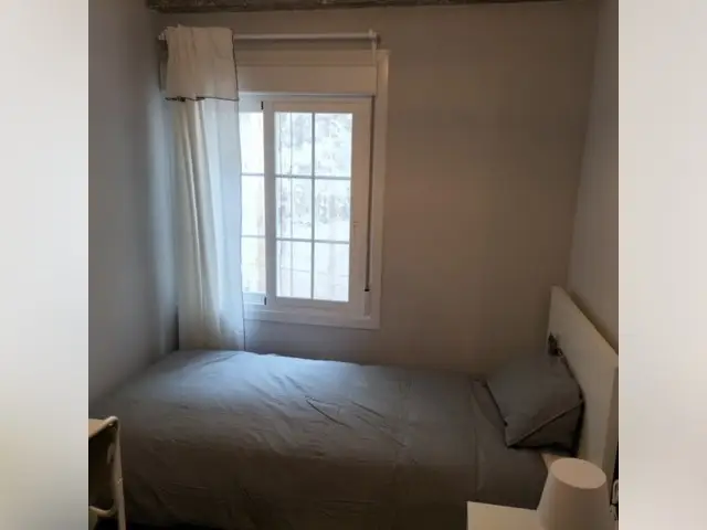 Habitacion Alquiler Alicante Mujeres Apartamento Mercado