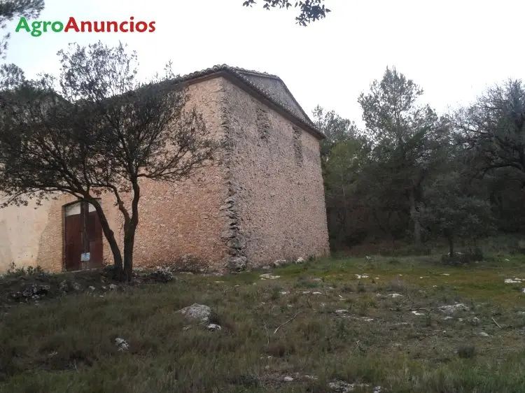 Venta  de Terreno de monte pinar con labranza y bodega en Valencia