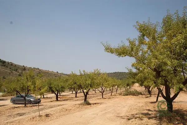 Villa de Lujo en Pinoso  Alicante  Nueva Construccion