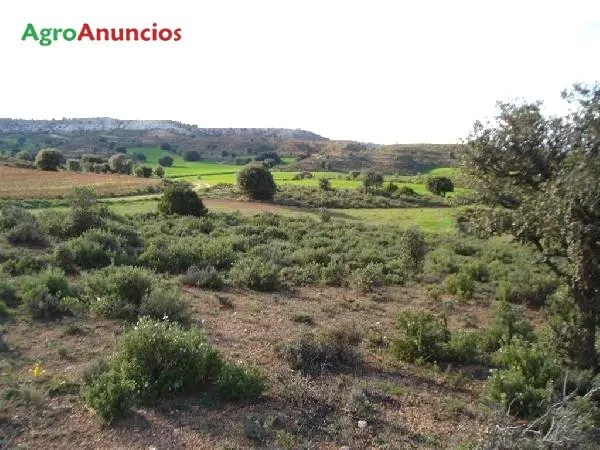 Venta  de Finca agricola cerealista en Soria