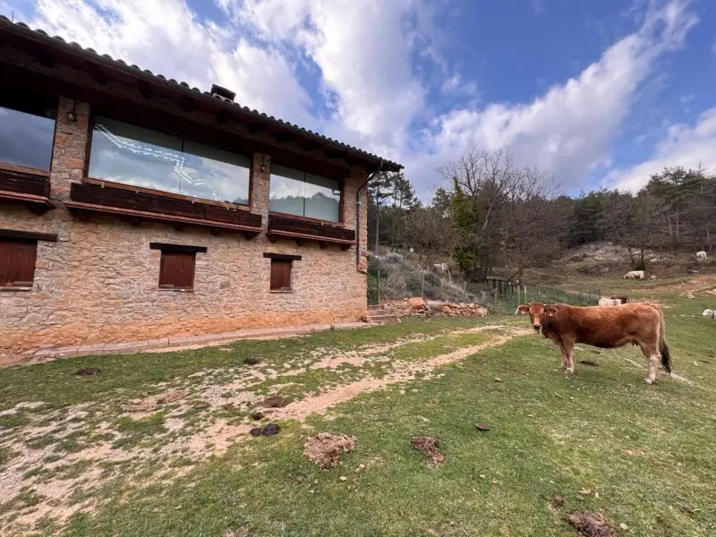 Venta Finca Rustica 6 Habitaciones Ripoll 55 Hectareas