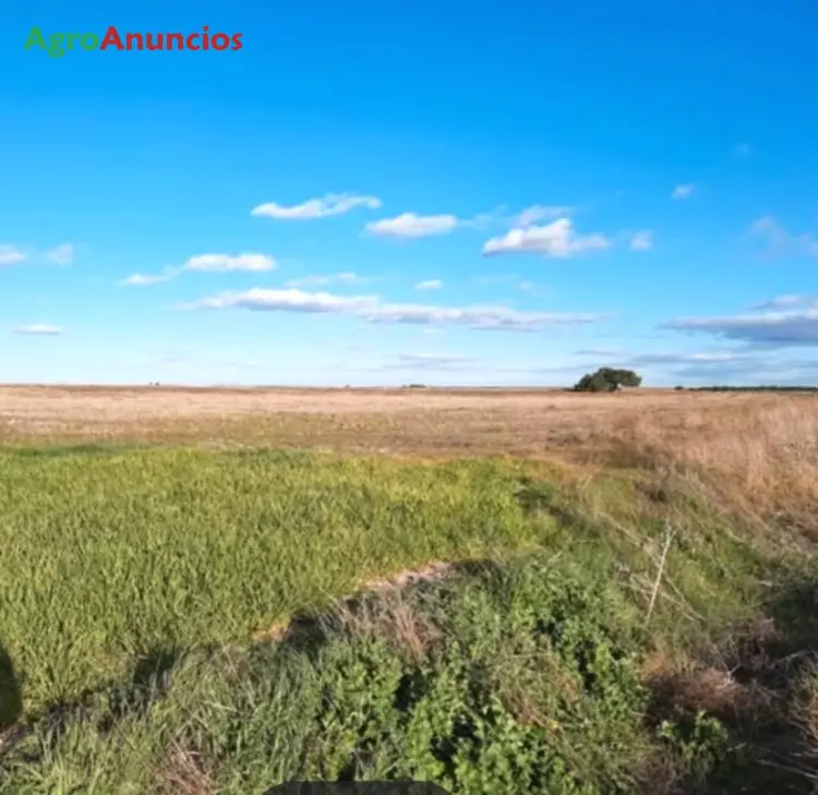 Venta  de Terreno de secano en Valladolid