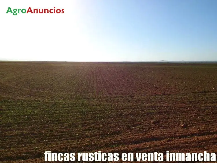 Venta  de Finca de labor secano con viviendas y naves en Albacete